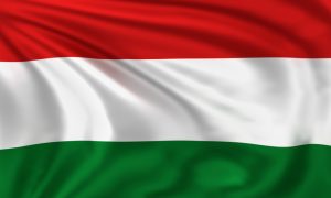 2018’de Avrupa: Macaristan’ın Kritik Yılı