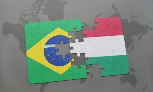 Brezilya ve Macaristan’dan Göçe Karşı İş Birliği
