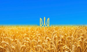 “Ukrayna Tahıl İhracatına Açılmazsa Kıtlık ve Kitlesel Göç Yaşanabilir”