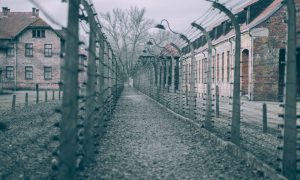 Holokost’u Anma Günü: “Ölmek İstemiyorum”