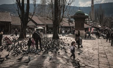 bosna