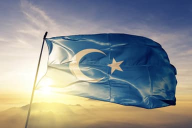Doğu Türkistan