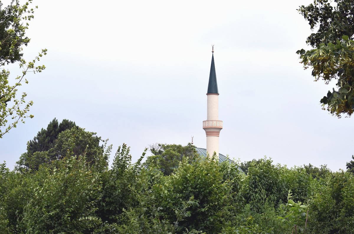 Avusturya cami