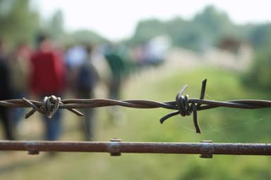 Belarus-Polonya Sınırındaki Kadınlar: “Sadece Çocuklarım İçin Bekliyorum”