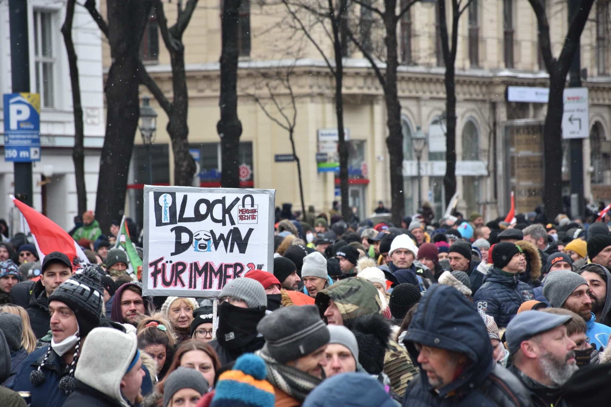 Avusturya Kovid-19 önlemleri karşıtı protesto