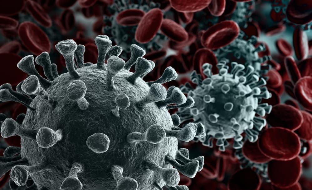 Hollanda İstatistik Kurumu: Kovid-19 Göçmen Kökenlilerde Daha Ölümcül