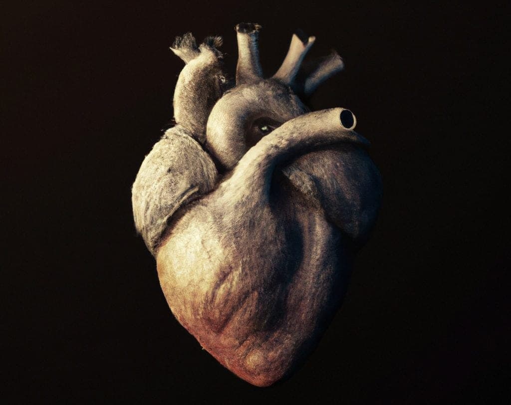 Organ Nakli ve Organ Bağışı