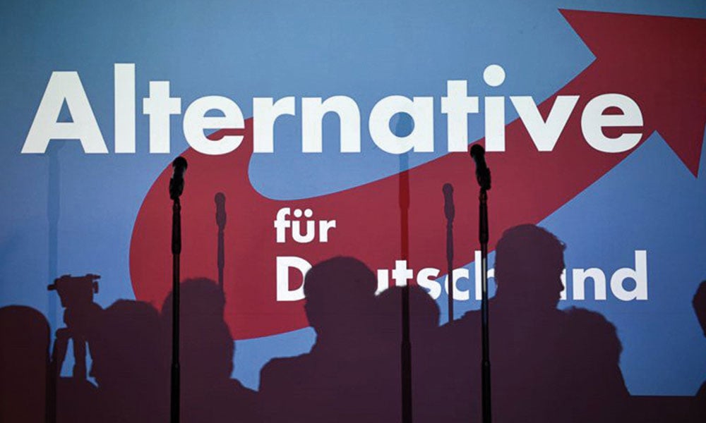AfD Almanya medyanın rolü
