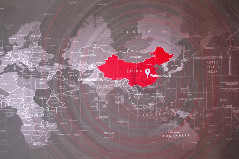 Kovid-19 Virüsünün Kökenine İlişkin DSÖ Raporuna 14 Ülkeden Tepki