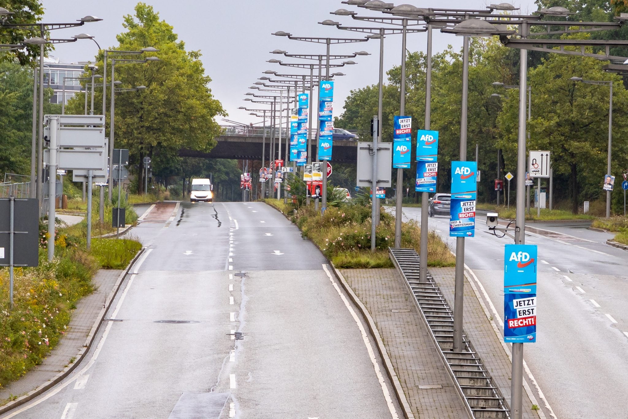 AfD’nin Yükselen Oyları
