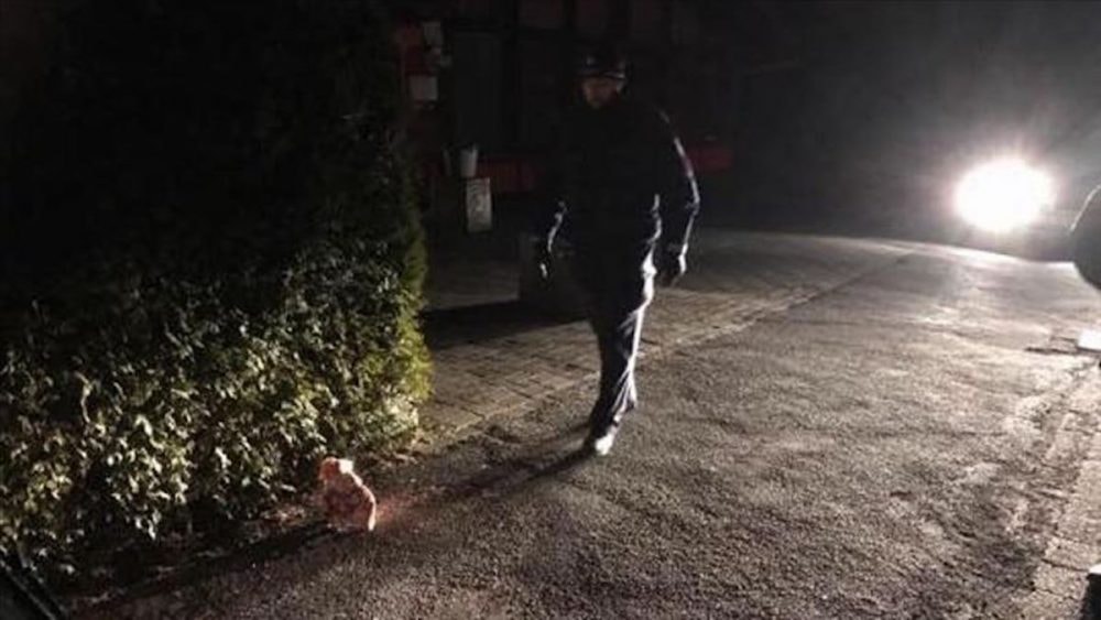 Almanya’da Cami İnşaatına Domuz Kafası Bırakıldı