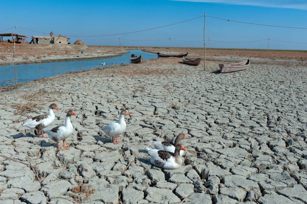 İklim Değişikliği Orta Doğu ve Kuzey Afrika’da Korkunç Sonuçların Habercisi