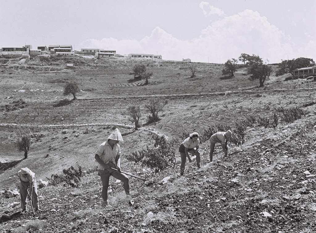 Kibbutz Nedir?