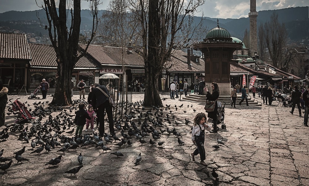 bosna