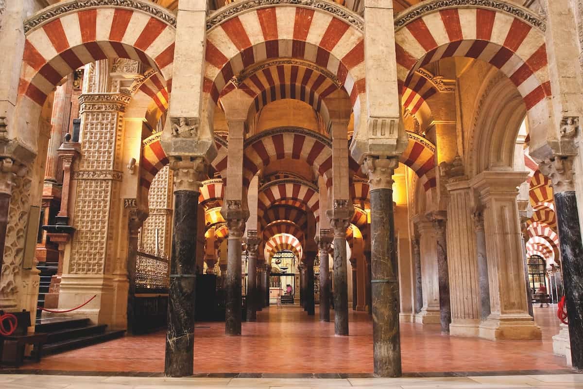 Cordba Cami