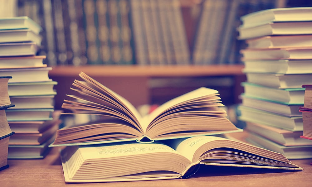 Hollanda’da Türkçe Edebiyat, Türkiye’den Göç Edenlerin Edebiyatı Mı?