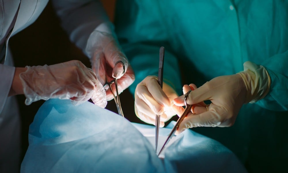 Hollanda’da Yeni Organ Bağışı Kanunu Organ Donörü Tercihinizi Yapın