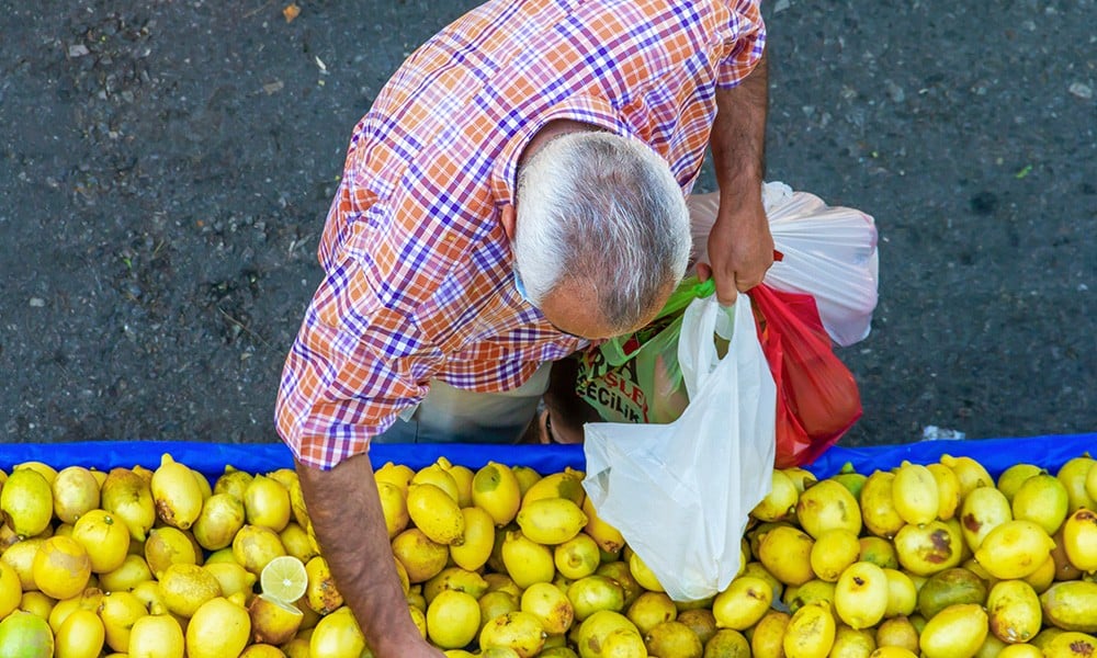 etnik pazarlama avrupa türk girişimci