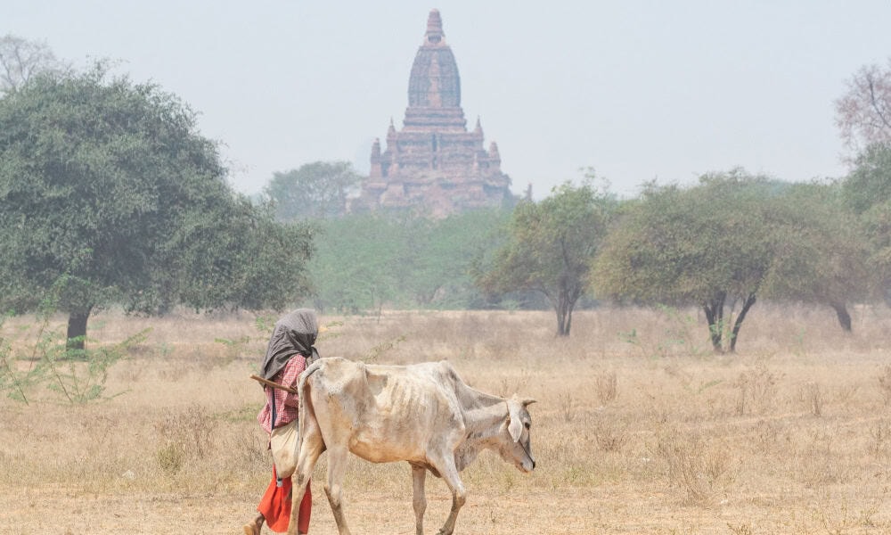 “Myanmar’da 14 Milyon İnsan Acil Yardıma Muhtaç”