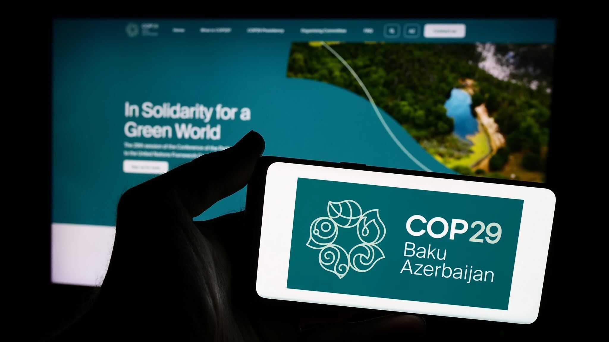 COP29 Nedir, Ne Değildir?