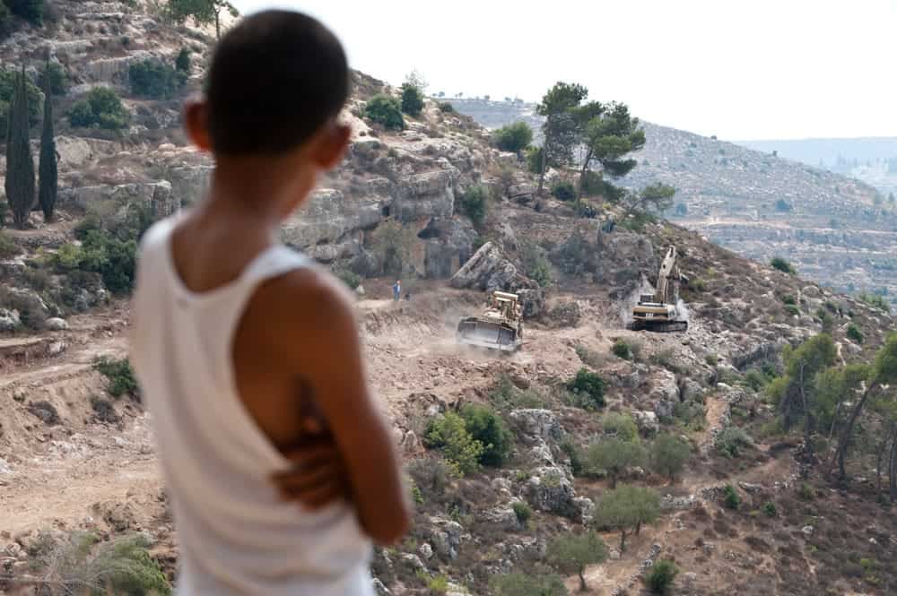 Bir Başka Filistin Hikayesi: Zeytin, Çam ve Politika