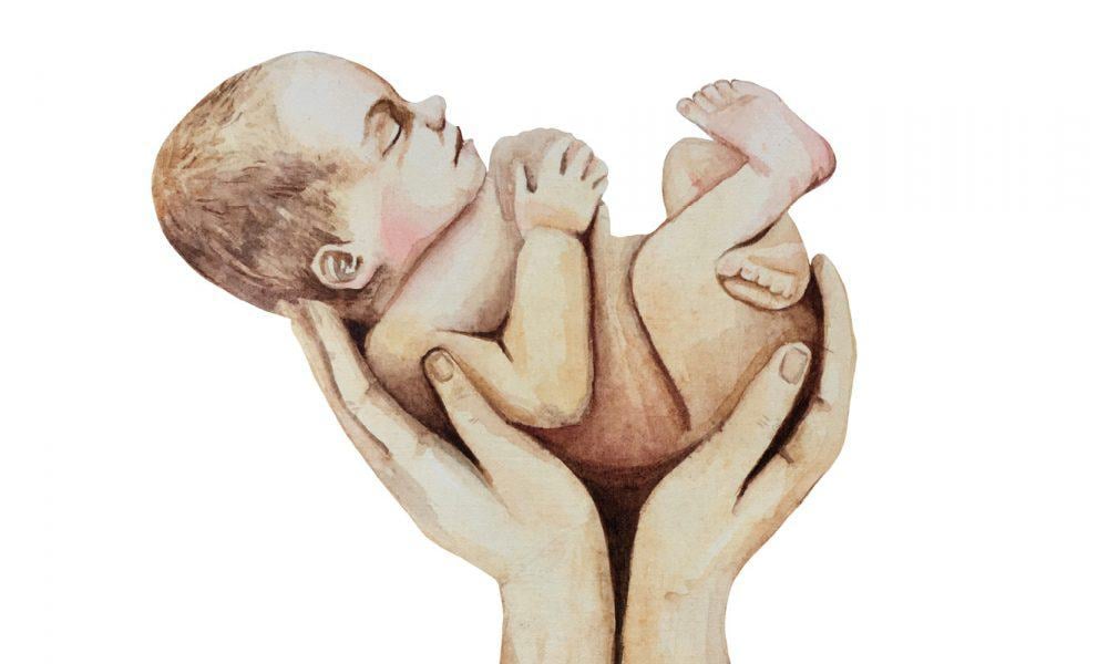pronatalizm nedir