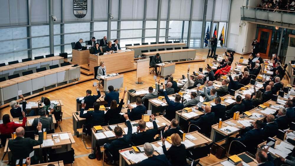 AfD Almanya İçin Alternatif Partisi Saksonya-Anhalt Tobias Rausch Ulrich Siegmund Almanya