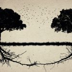 “Biz Müslümanlar” Diyebilmek