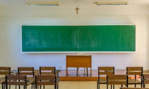 Göç ve Çeşitlilik Konularına Okul Müfredatlarında Yeterince Yer Verilmiyor