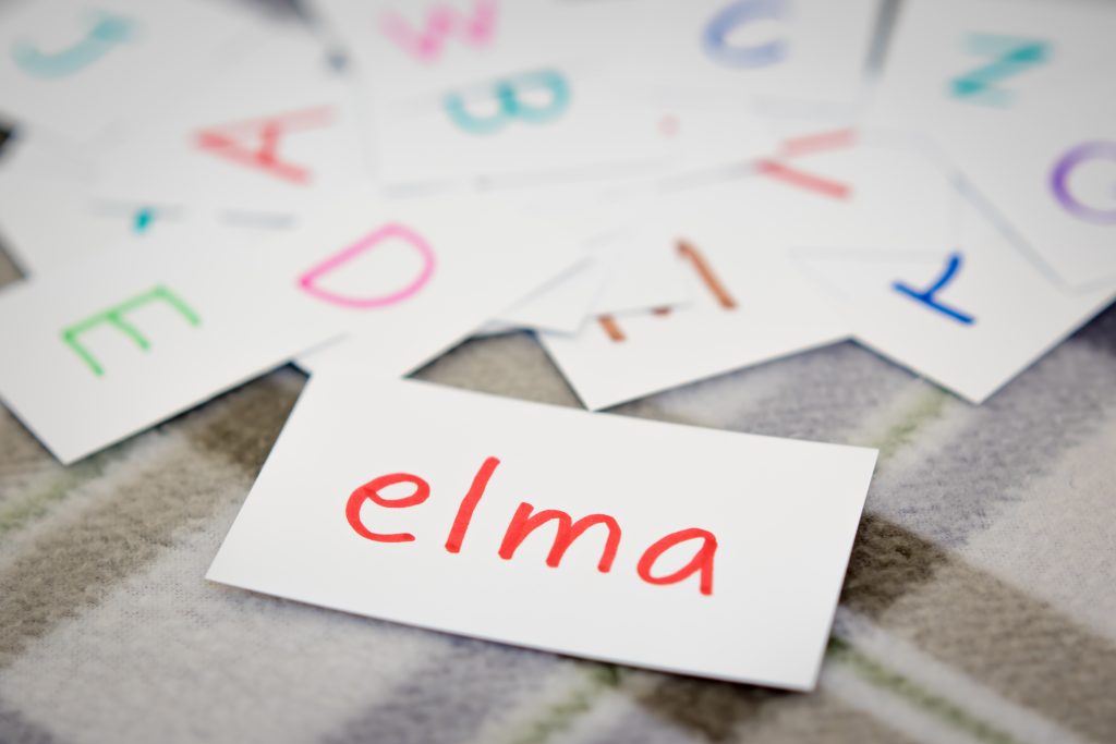 “Almanya’da Türkçenin İhmali Sorun Doğurur”