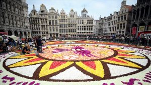 Belçika | Grande Place Meydanı Latin Motifli Çiçek Halıya Bezendi