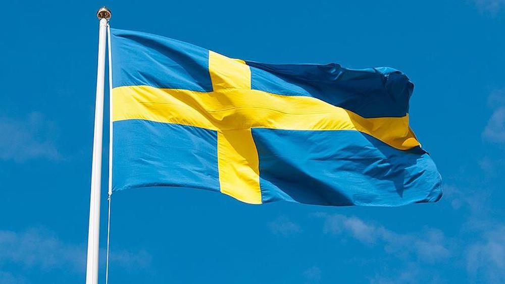 İsveç bayrak