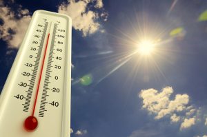 Avrupa Günlerdir Sıcak Hava Dalgasıyla Mücadele Ediyor