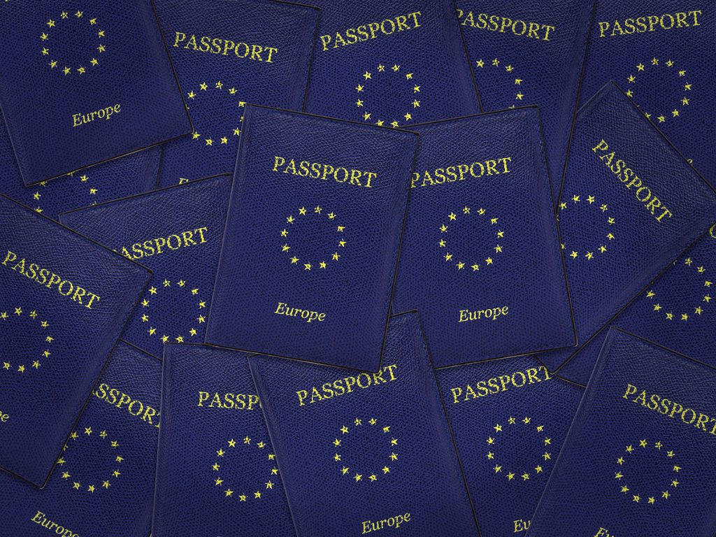 AB’de 2020’de 729 Bin Vatandaşlık Başvurusu Kabul Edildi