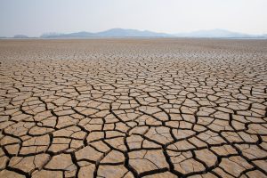IPCC: “İklim Değişikliği Yaygın, Hızlı ve Yoğun”