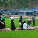 Arakanlılar Artık Cox’s Bazar’daki Ailelerini Ziyaret Edebilecek