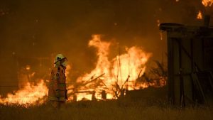 Avusturalya’da Yangın: 10 Milyon Hektar Alan Yok Oldu