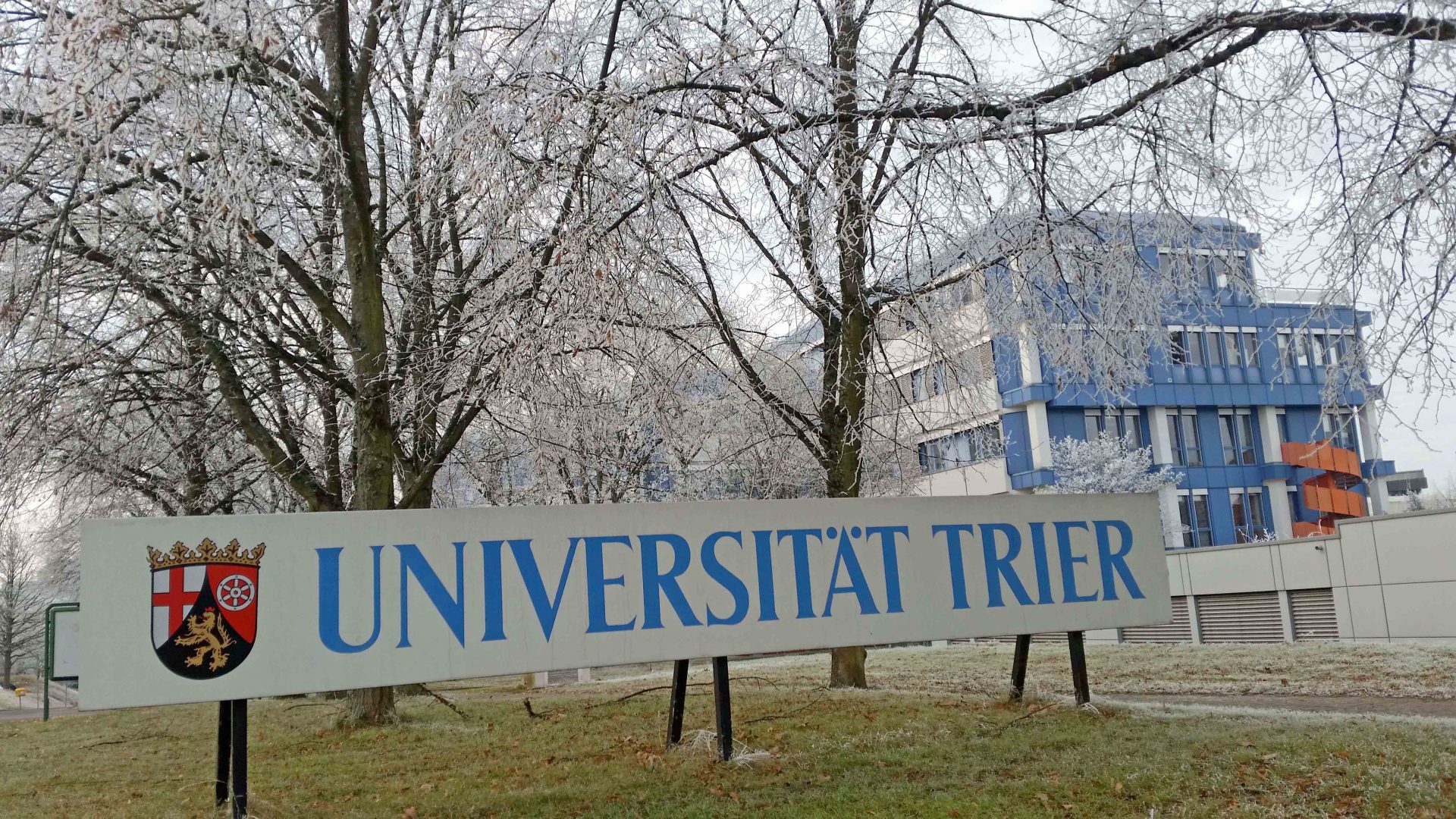 Trier Üniversitesi’nde İslam Kürsüsü Kuruldu