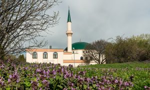 Avusturya’da İslami Temsil Kurumu: Avusturya İslam Cemaati (IGGÖ)