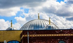 İslami Çatı ve Temsil Kurumlarının Çıkmazları, Avantajları ve Geleceği
