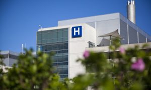 Fransa’da Salgında Fedakarca Çalışan Hastane Personeli Safiya’ya Liyakat Nişanı