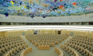 BM Raportörü, İslamofobiye Karşı Harekete Geçmeye Davet Etti