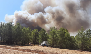 Avrupa ve Amerika Orman Yangınlarıyla Savaşıyor