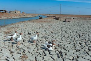 İklim Değişikliği Orta Doğu ve Kuzey Afrika’da Korkunç Sonuçların Habercisi