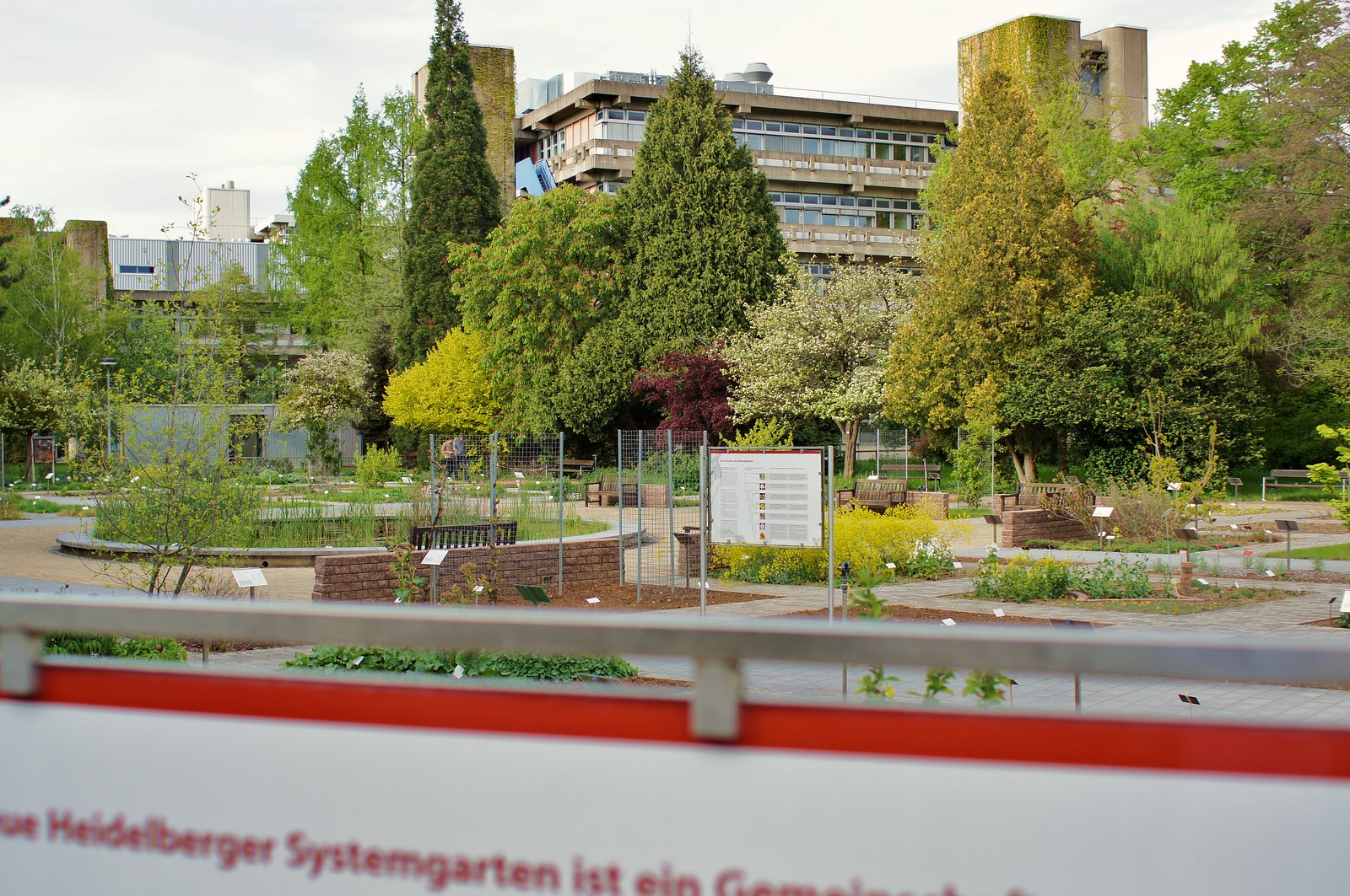 Almanya'da Üniversite Kampüsünde Silahlı Saldırı