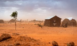 Somali ve Güney Sudan Kuraklık ve Kıtlığa Karşı Acil Yardım Bekliyor