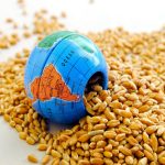 Küresel Gıda Krizi Derinleşiyor Mu?