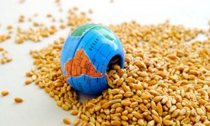 Küresel Gıda Krizi Derinleşiyor Mu?