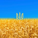 “Ukrayna Tahıl İhracatına Açılmazsa Kıtlık ve Kitlesel Göç Yaşanabilir”
