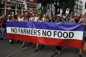 Hollanda’da Çiftçiler Hükümetin Tarım Politikasını Protesto Ediyor
